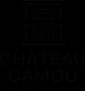 Chateau Camou